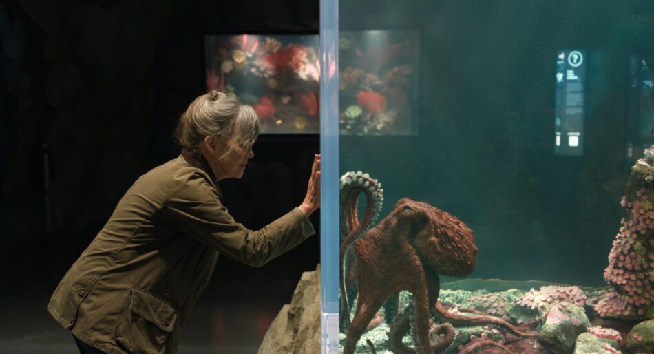 [Netflix] «Criaturas luminosas» (2026): la sabiduría de los pulpos